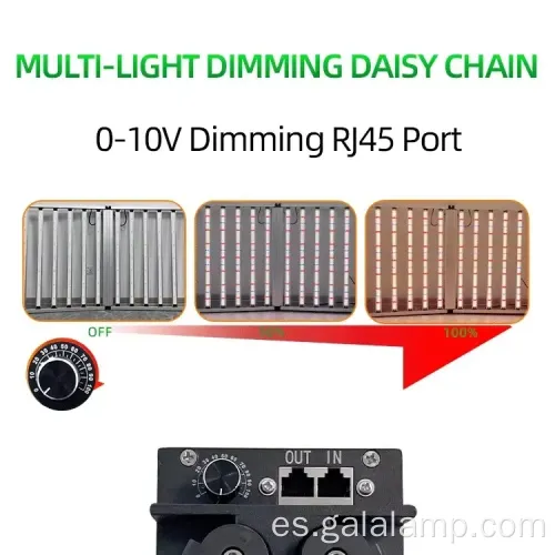 Mejorar la fotosíntesis con luz LED de barra de crecimiento premium